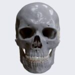 Group logo of You Died!